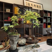 宋韵轩民宿(李庄古镇店)