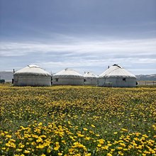 赛里木湖木拉提毡房民宿