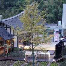 雅安十里山房民宿