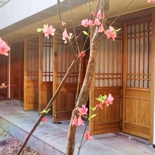 程锦雅宿(九华山上店)