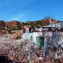 青岛崂山区花田一亩民宿