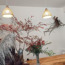 安闲林舍民宿