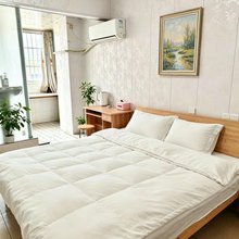 合肥南站宾馆(高铁南站北广场店)
