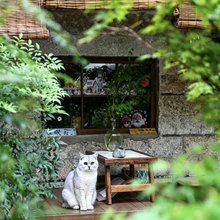 平潭岛YOOOO·长弓的喵花园旅拍民宿(龙王头沙滩店)
