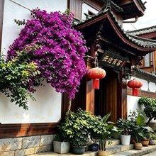 云边有客精品美宿(忠义市场店)