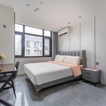 青蛙特色民宿(上海火车站中潭路地铁站店)