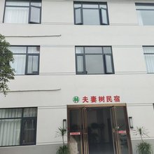 夫妻树民宿