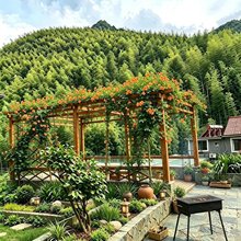 觅云山居·环山观景度假美宿(衢州紫薇山森林公园药王山店)