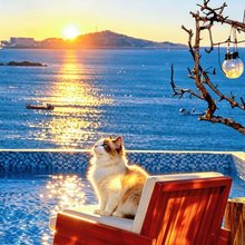平潭夏物集·日出沙滩泳池海景民宿(坛南湾七号沙滩店)