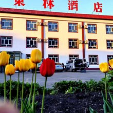 尼勒克东林酒店