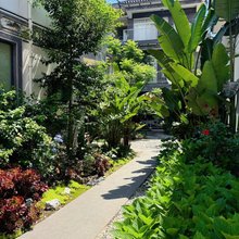 大理安悦·山海季美学旅居(洱海龙龛码头店)