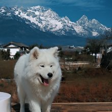 青木岚·日照金山丨森林氧吧Snow Mountain Villa(白沙古镇店)