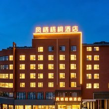 凤栖梧桐酒店(阜阳站万达广场店)