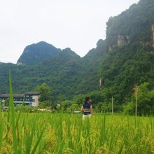隐庐民宿(大新明仕田园店)