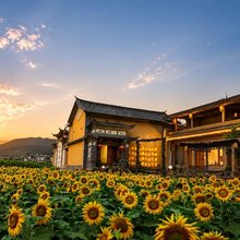 鹿鸣涧·LumVale 民宿(沙溪古镇店)