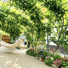 茶颜观舍|半盏·Wander 山野治愈休闲美宿(伊宁店)
