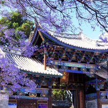 鸿运清苑·NanZhao Court|临锋雅院花园度假民宿(巍山古城店)