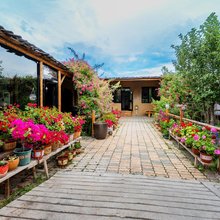 缘居花园式民宿(特克斯店)