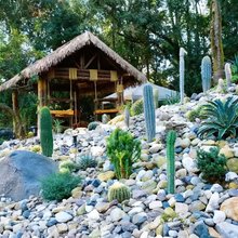 Grove|一方居林间花园别院(弥勒湖泉生态园店)