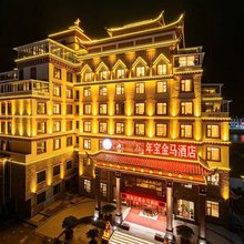 久治年宝金马酒店