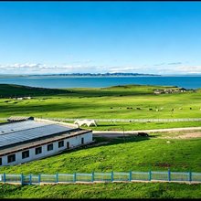 青海湖赛尔曲牧场客栈