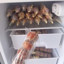 夏季冰糖葫芦·大眼鲸青旅客栈