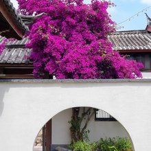 唐风庭院客栈