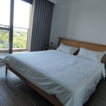 楚天旅居公寓(学富东路分店)