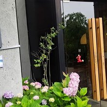 莫干山闻竹度假民宿(庙前村景区店)