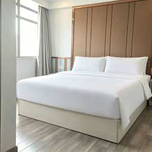 绿洲酒店(武汉学院店)
