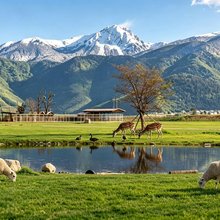 牧卡｜拾光·隐世度假庄园(香格里拉纳帕海店)