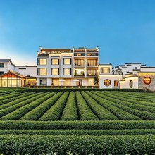婺源栖茗·一见如故Villa｜轰趴团建·奢野度假美宿