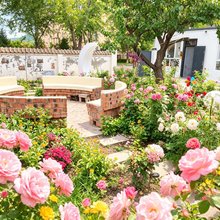 尼勒克雲镜花树民宿