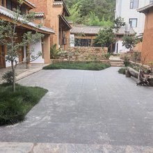巍山苍鹭谷民宿