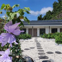 树屿花园民宿