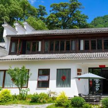 松阳树夏名宿