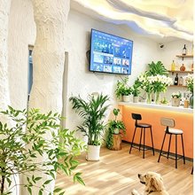 大理圣托里尼阳光美墅(大理古城三月街店)