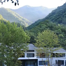 隐居乡里左手香民宿