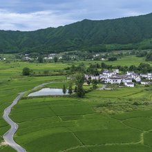 黄山澍德堂·黟县交叉小径的花园