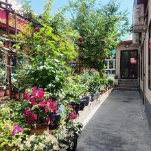 枫铃小栈(喀赞其民俗旅游区店)