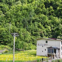 吉多｜庄园民宿(理小路店)