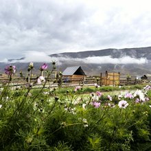 哈巴河栖云居民宿