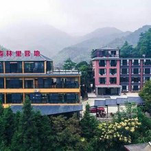东江湖森林里营地