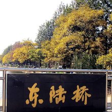昆明紫安宾馆