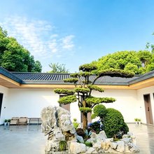 宜兴丨金家农舍·中式美学Courtyard庭院美宿(窑湖小镇龙池山店)