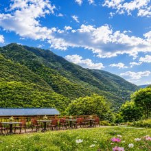 悦享·靠山院子·花园山景inn