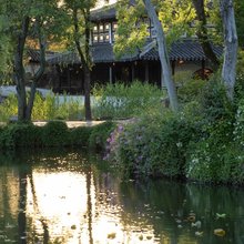 归真园·山居隐舍|茶禅书画·田园趣玩|度假美宿(黄山市休宁店)