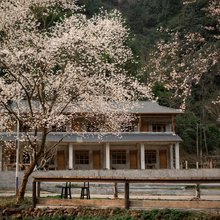雅安有木民宿(雅安碧峰峡镇店)