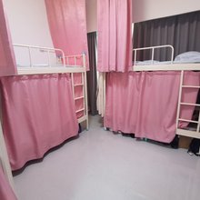 稀红柿青年旅舍