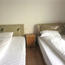 杭州指南山迎客松农家乐
